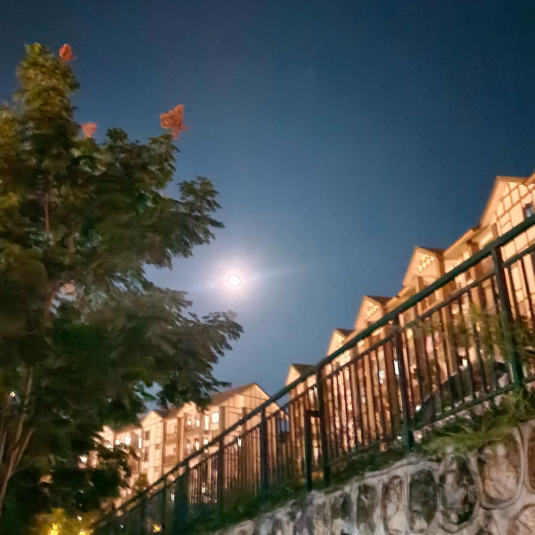 難渡
