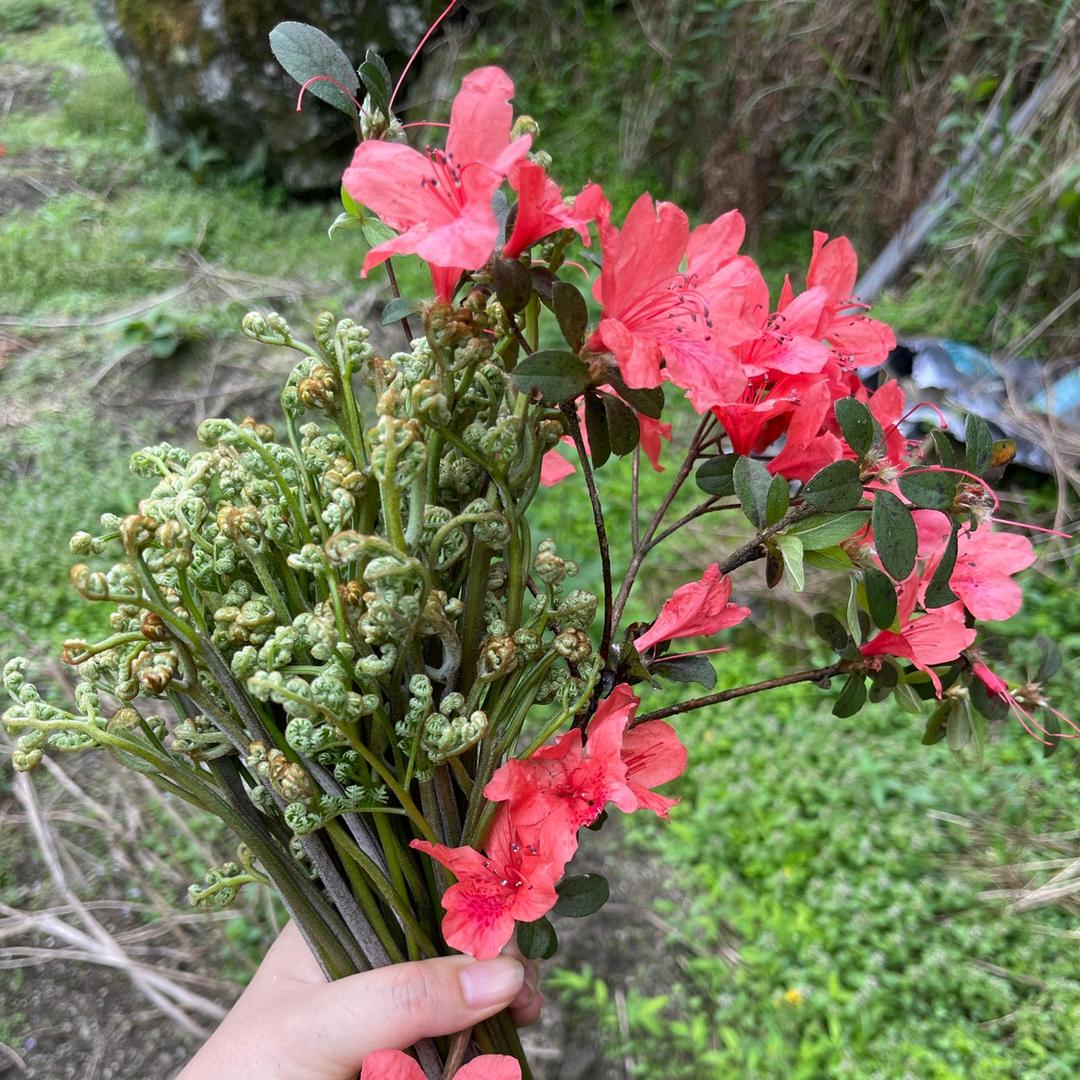 夏宝贝👶