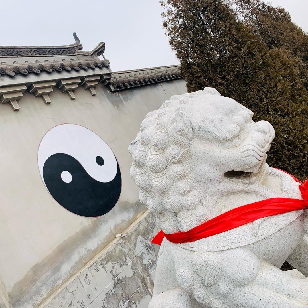 若虚子