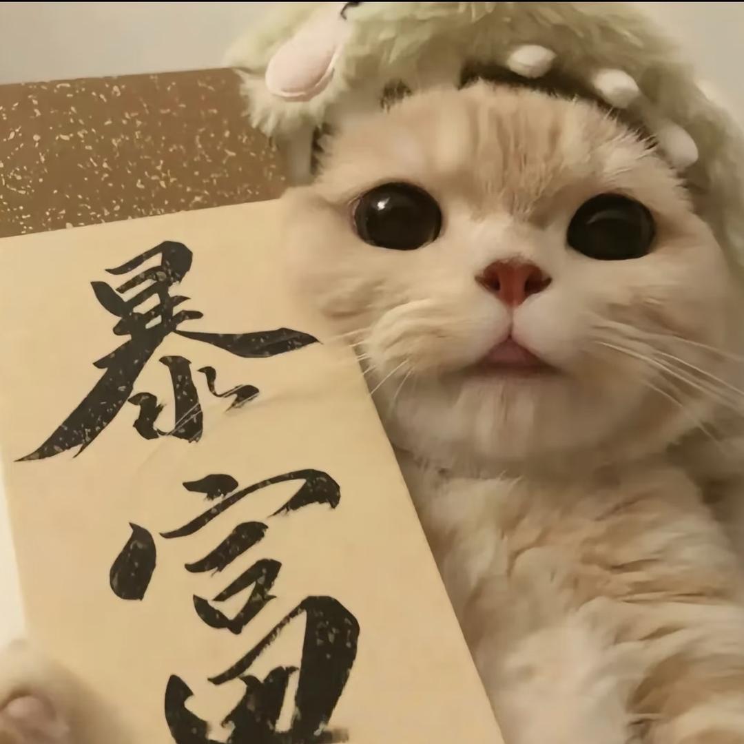 加贝宠工作室