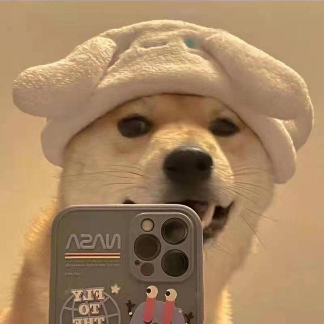 快乐的鑫鑫