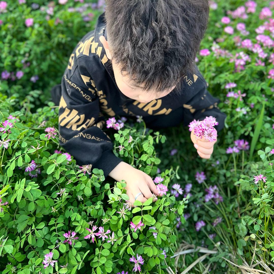 请叫我杰哥
