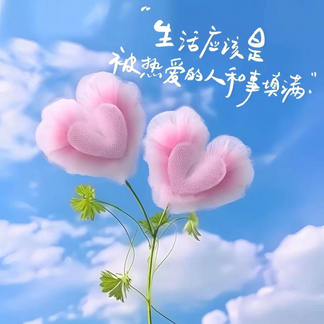 李李吖