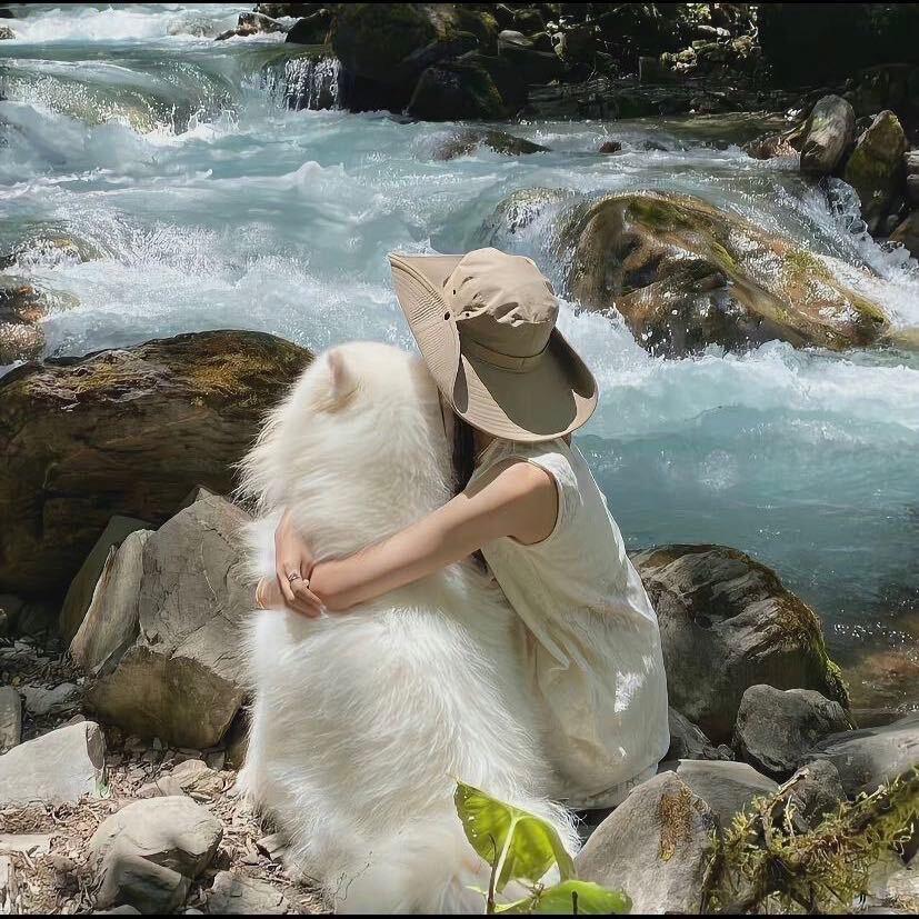 爱睡觉的树懒🦥