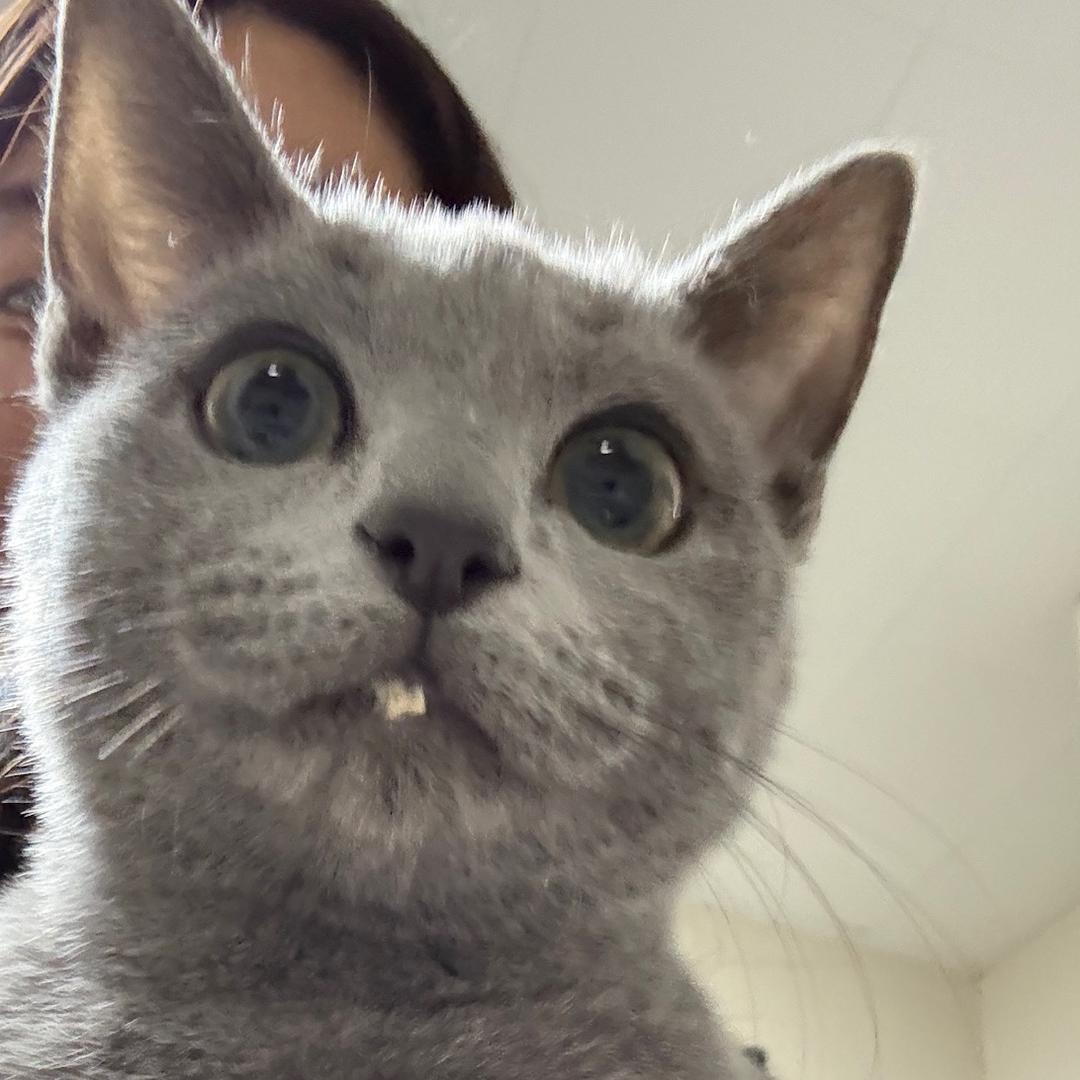 🌈要早睡的咸鱼干