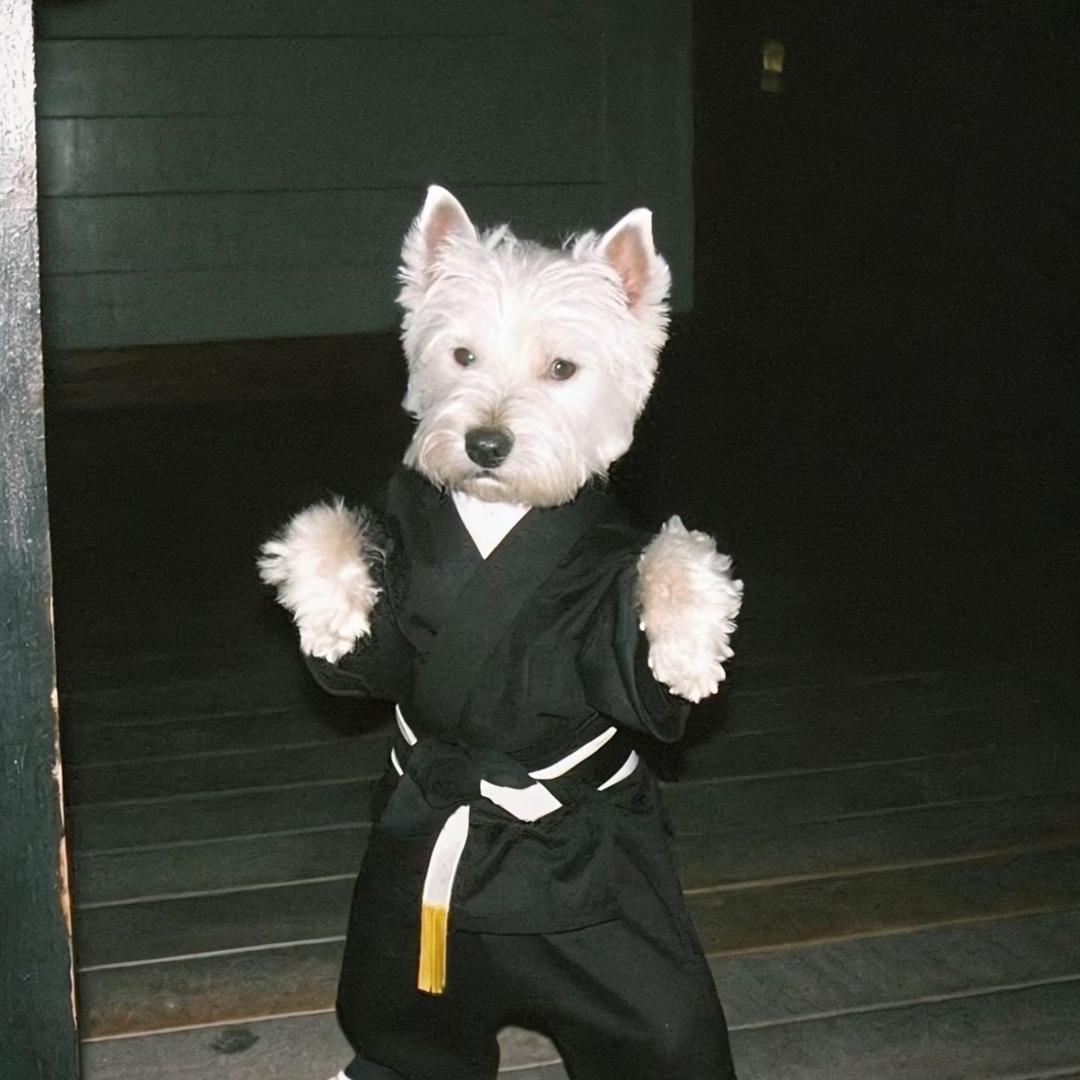 是小蒋不是小将