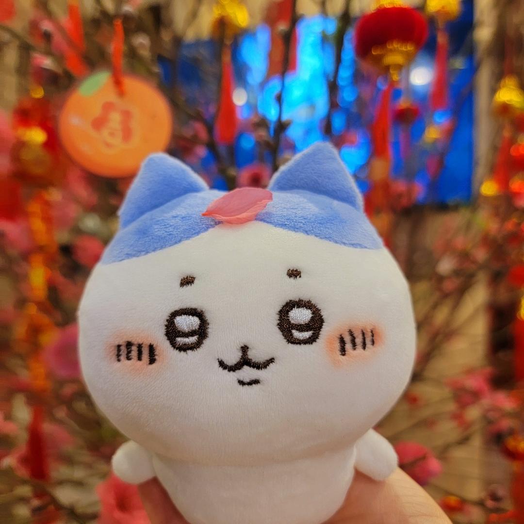 布里西西