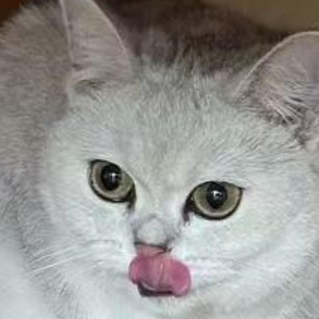 ✨🥘