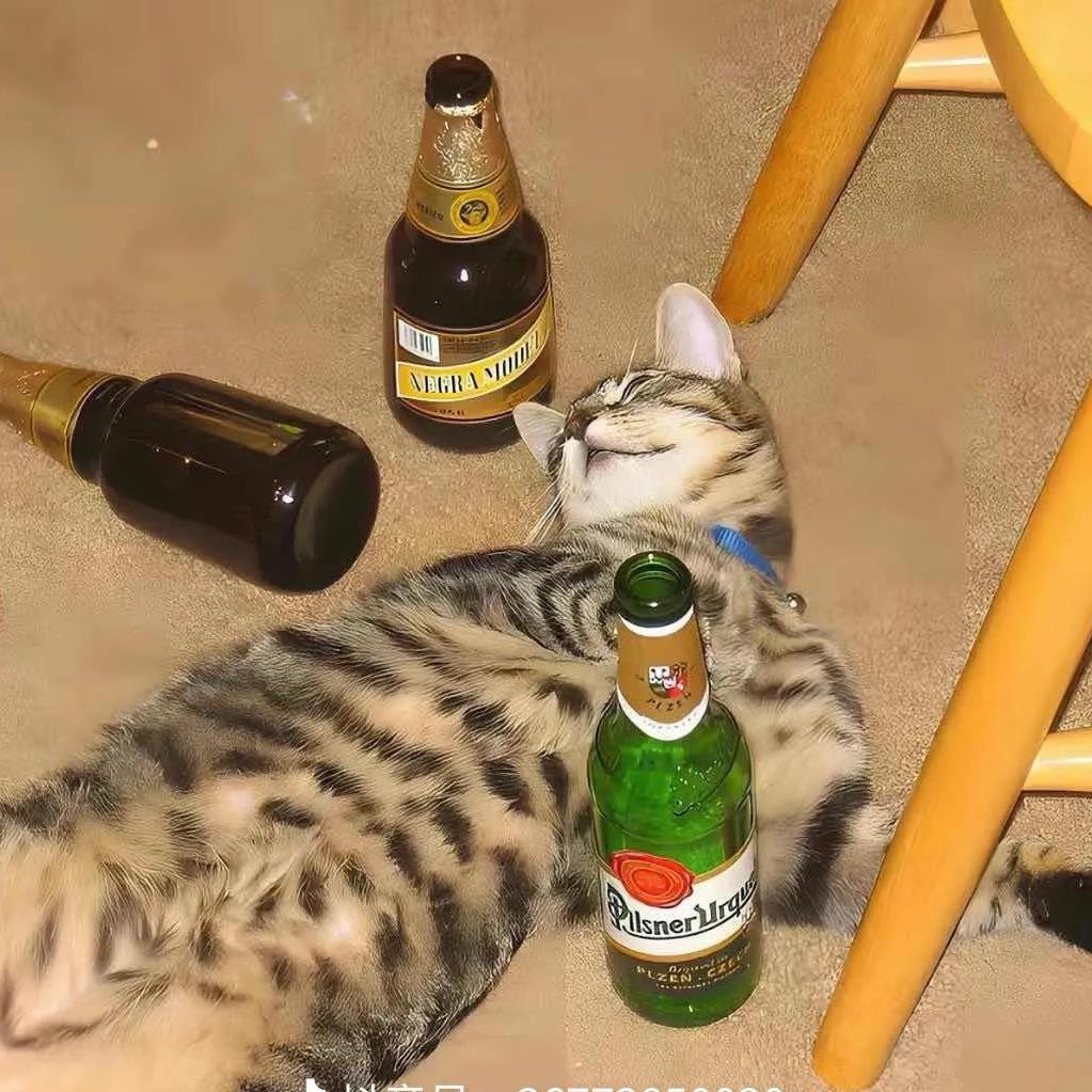 拾贰