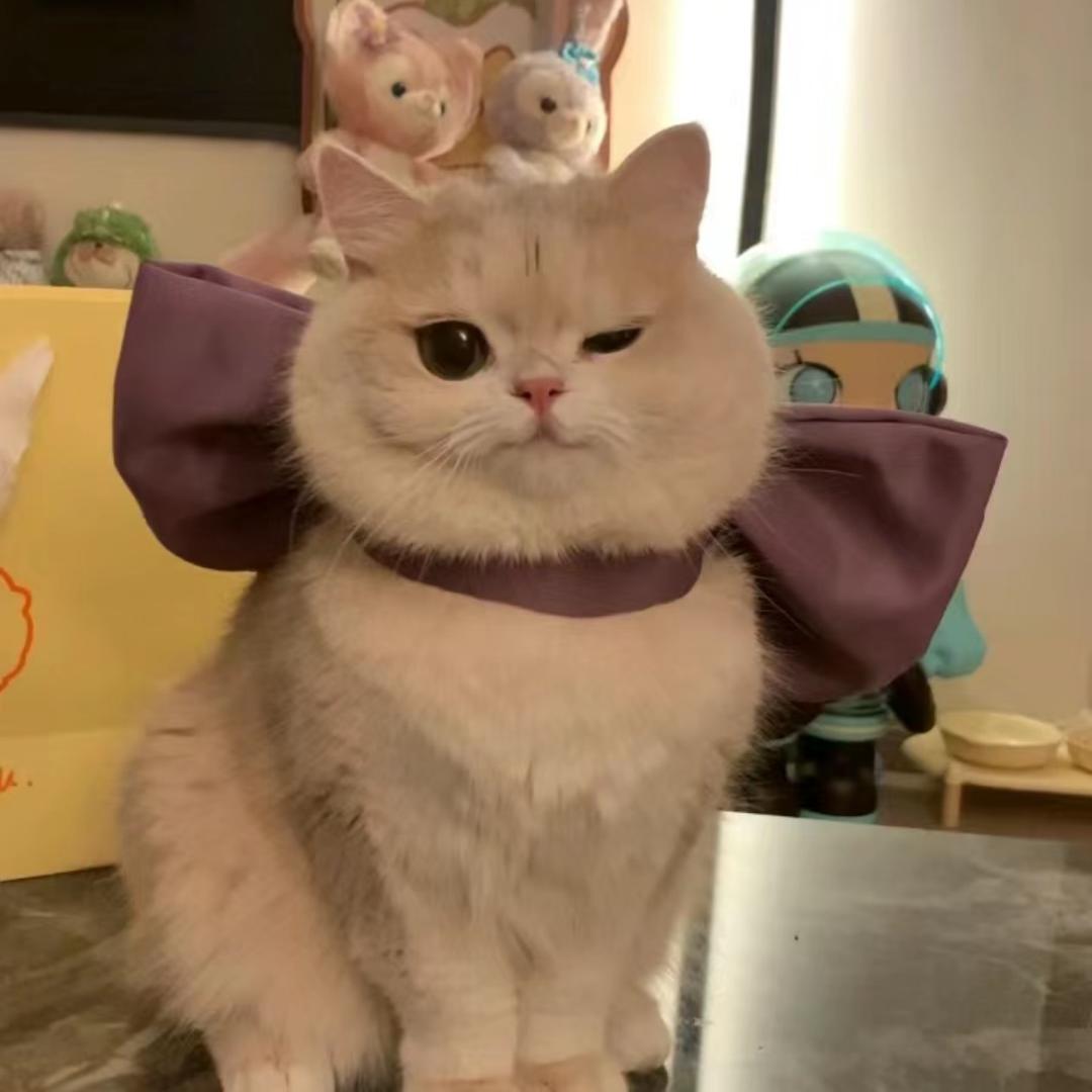 奶油猪