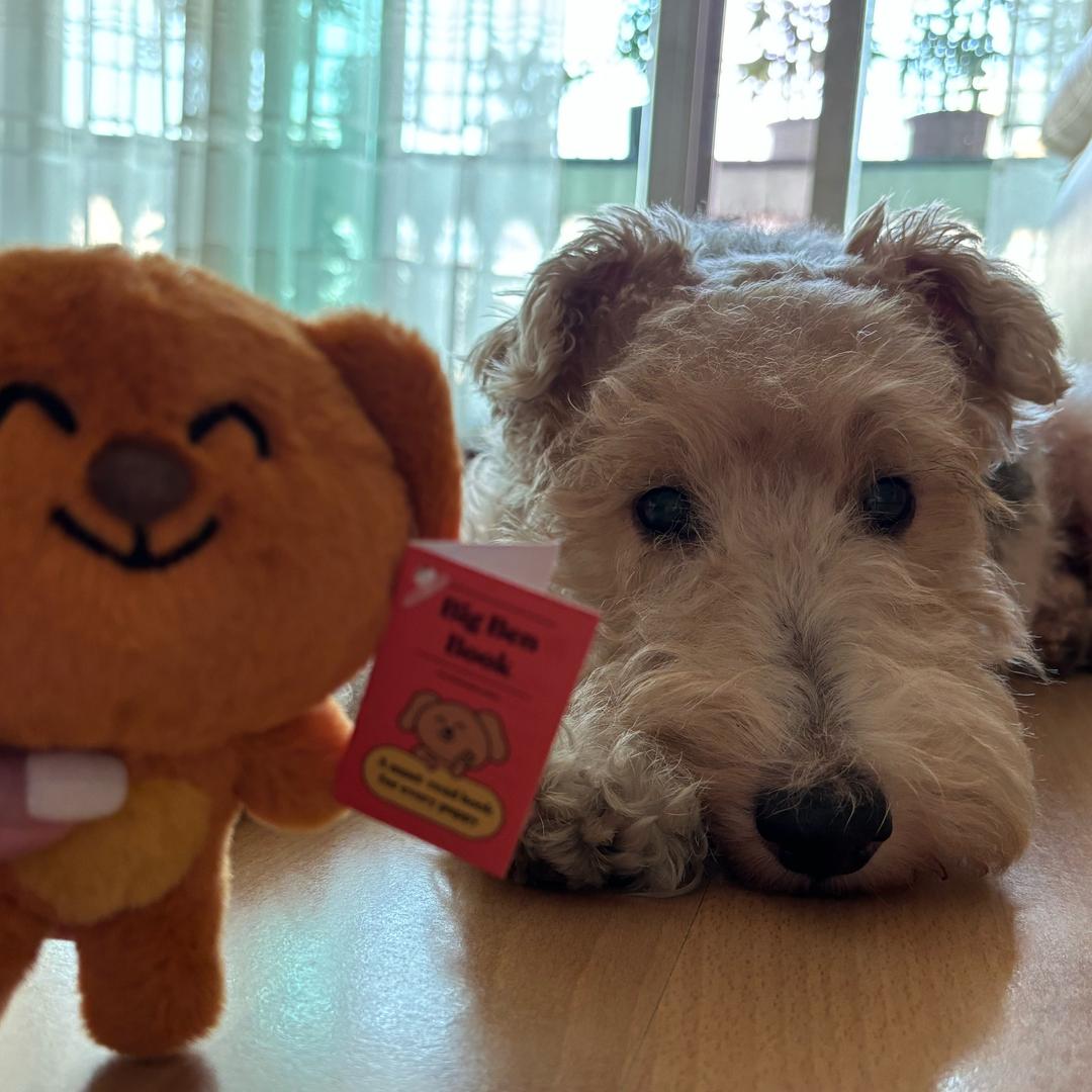 我要玩丝之歌！！