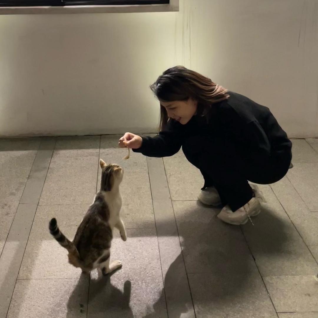 牛仔牙牙子