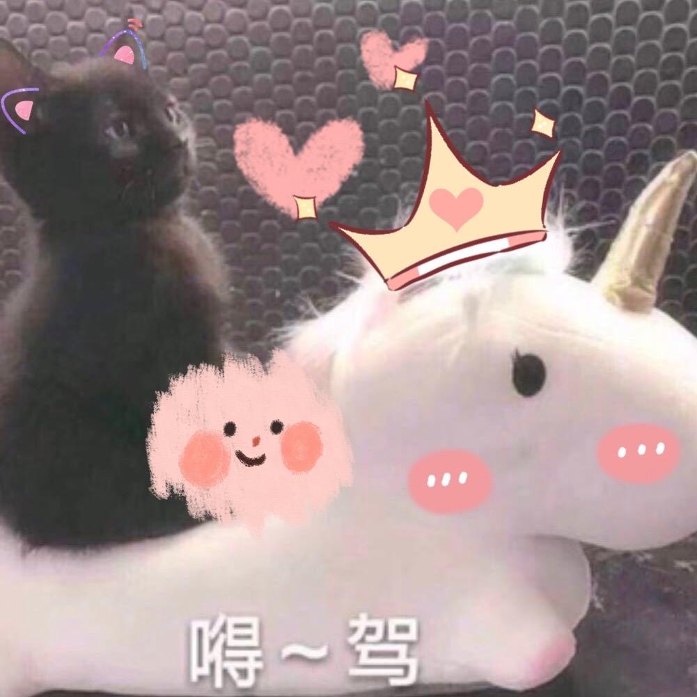 网友小池