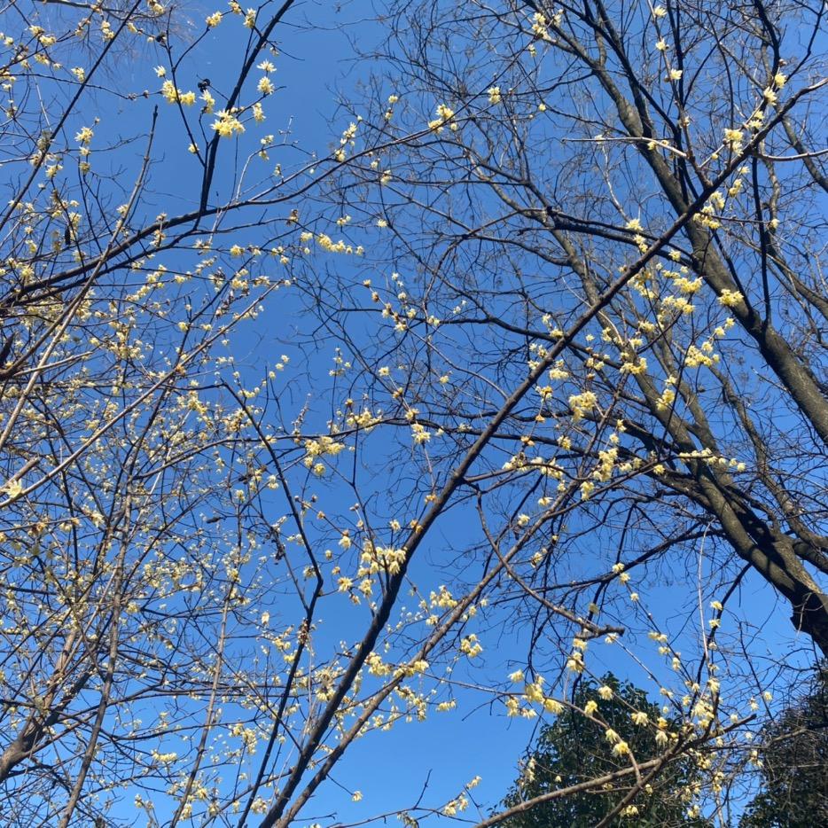 寻找好房帮帮忙（听泉）