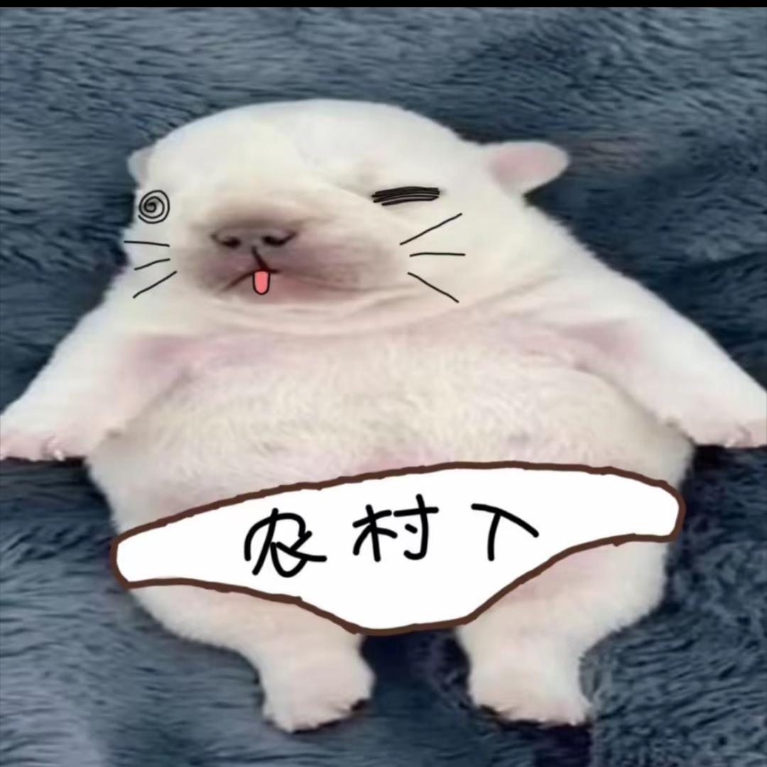 困困大王^
