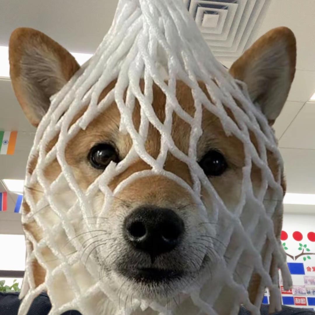 中国万岁万岁万万岁🧎‍♂️🧎