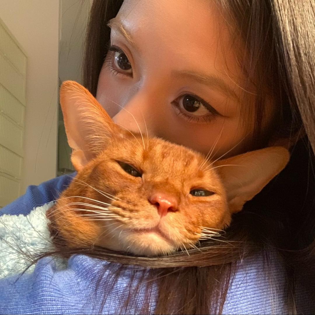 你是第一.