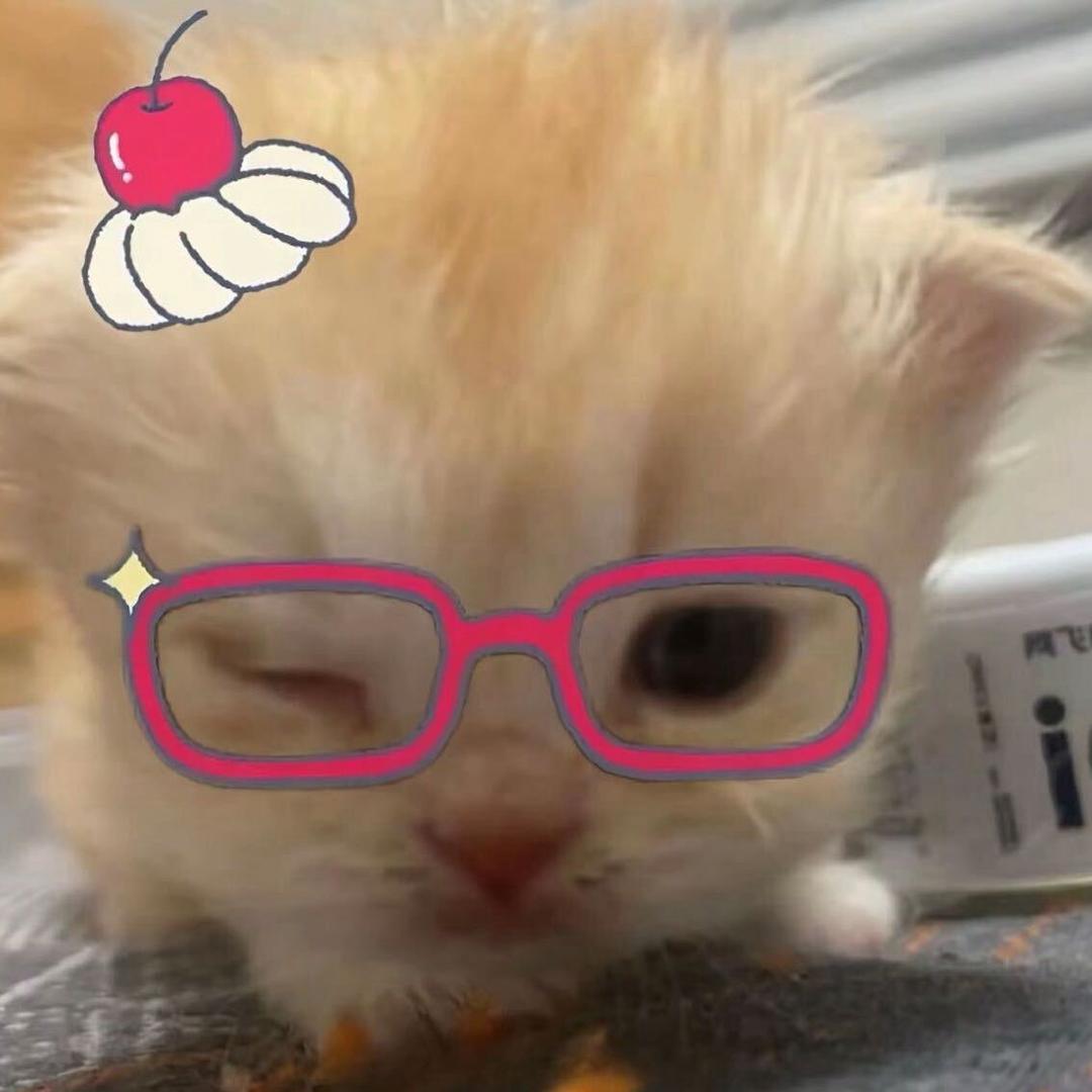 小狗摆烂