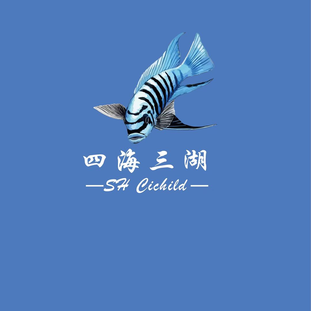 四海三湖