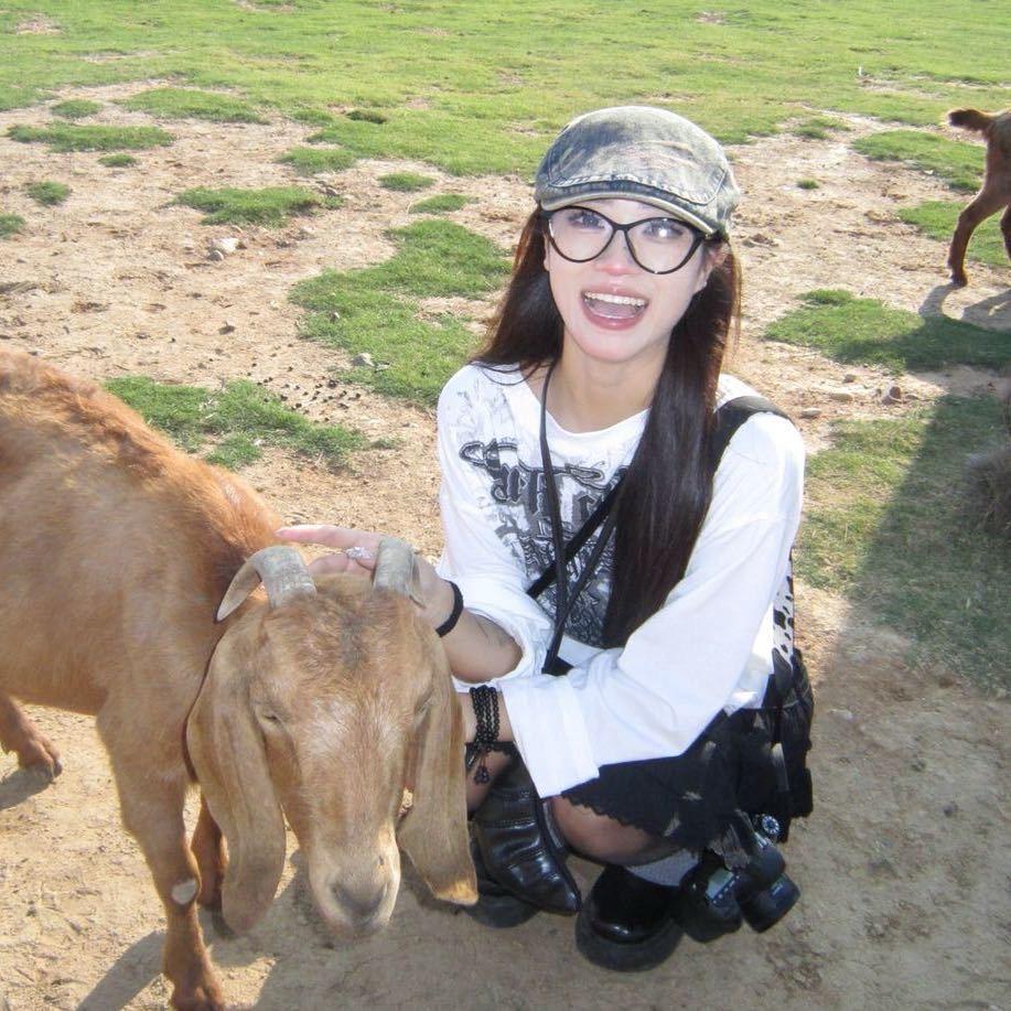 羊汤泡馍🐑