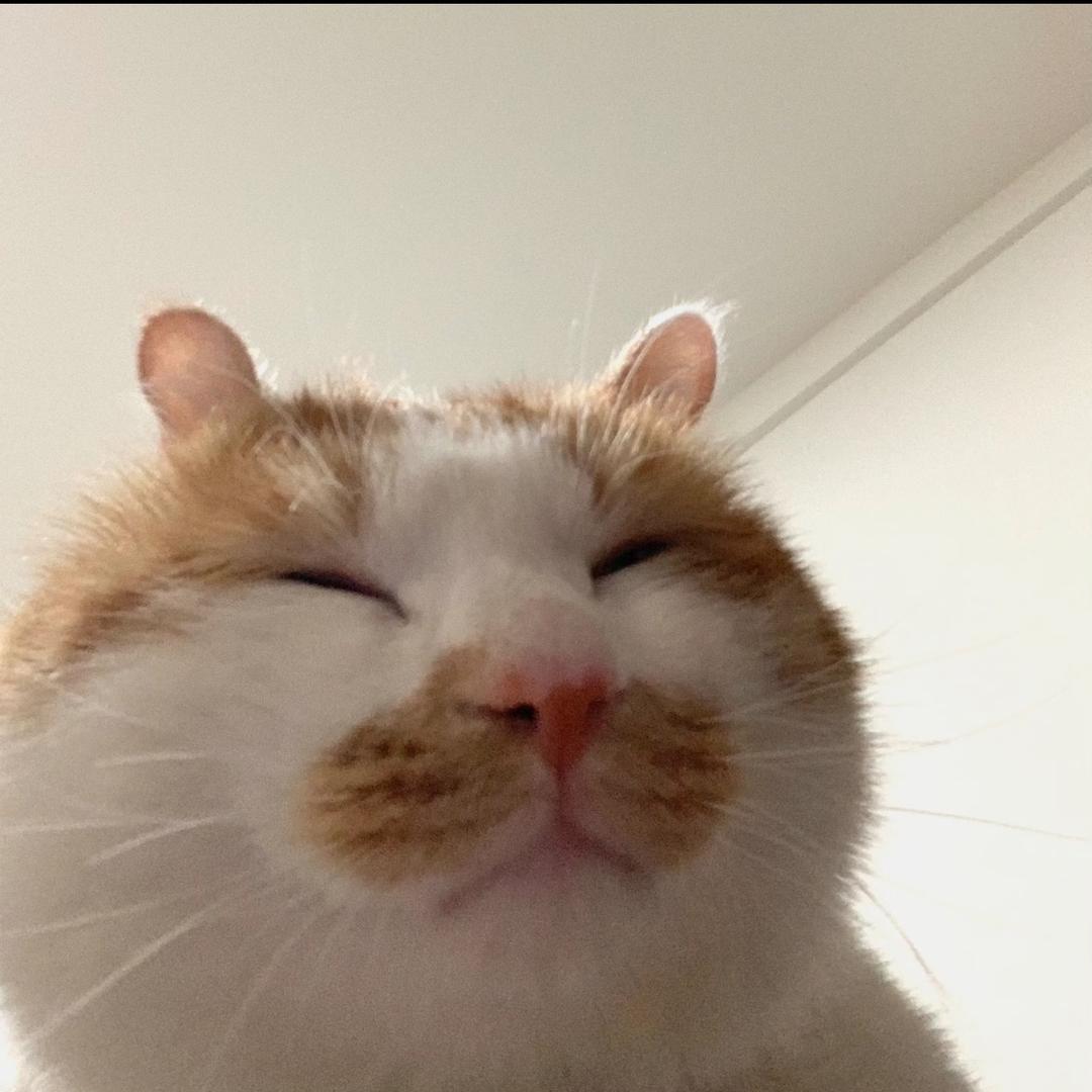 老贺