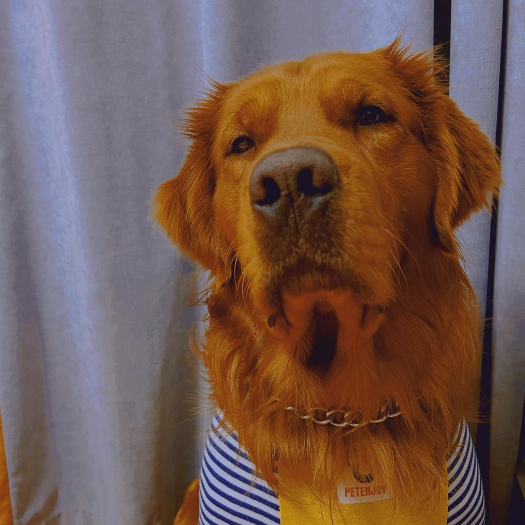 我们天生偏执狂