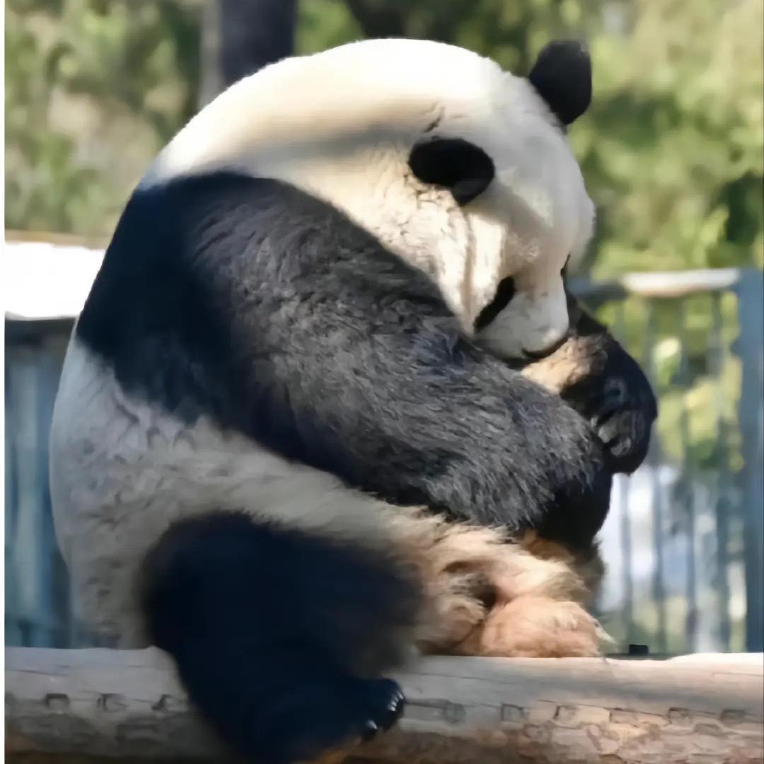 飞船