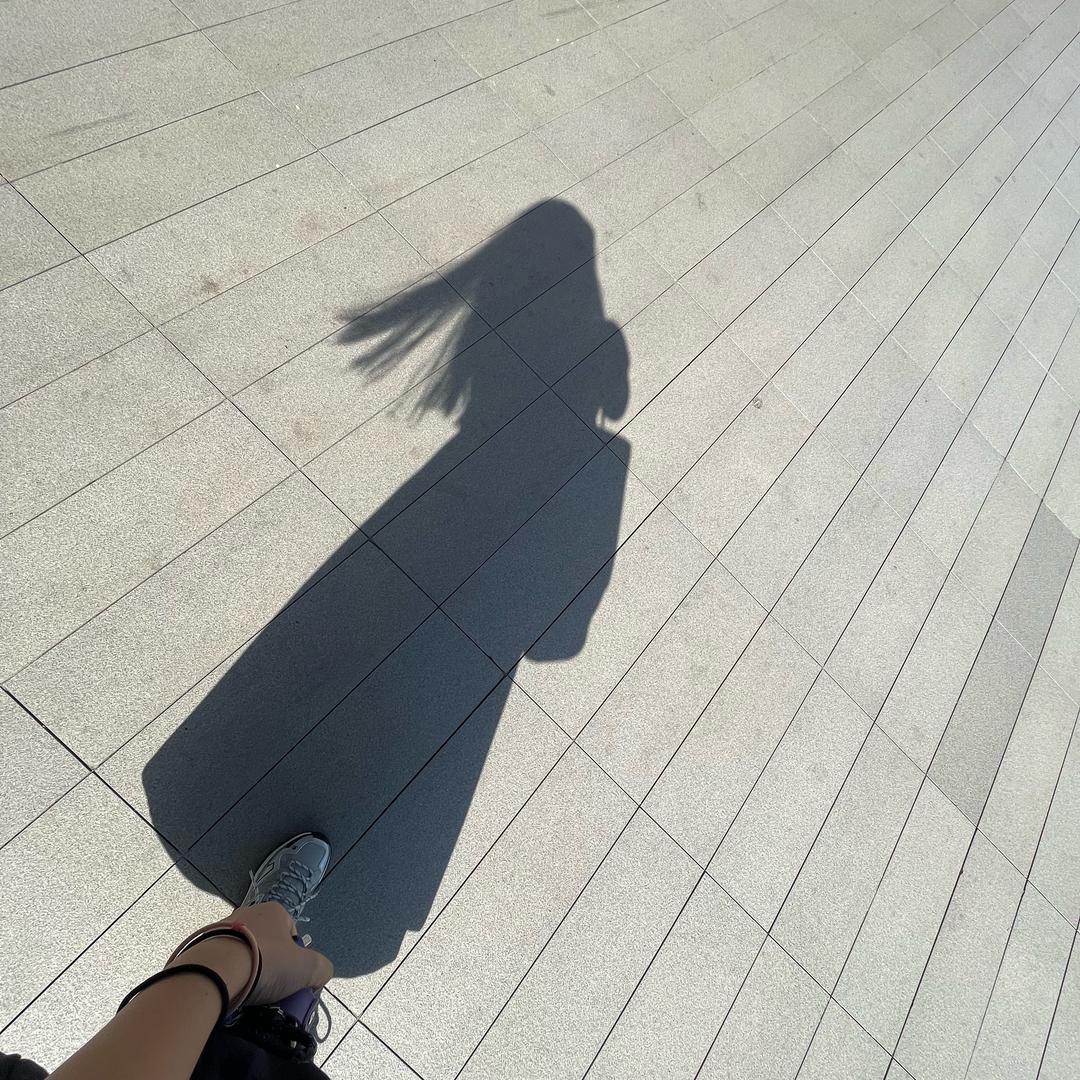 🌈  叶子🍃
