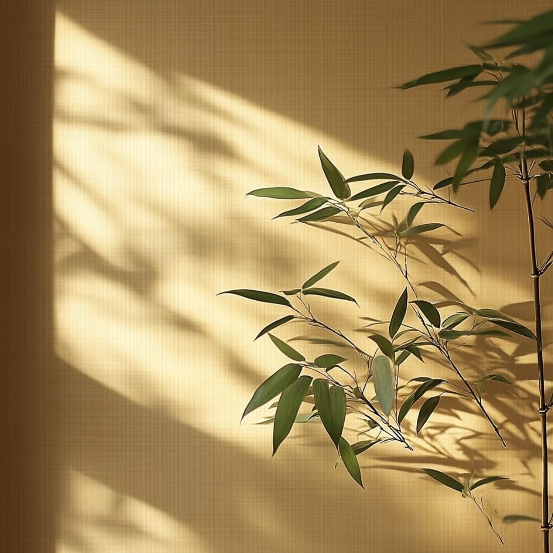 聚合康健-觅清子