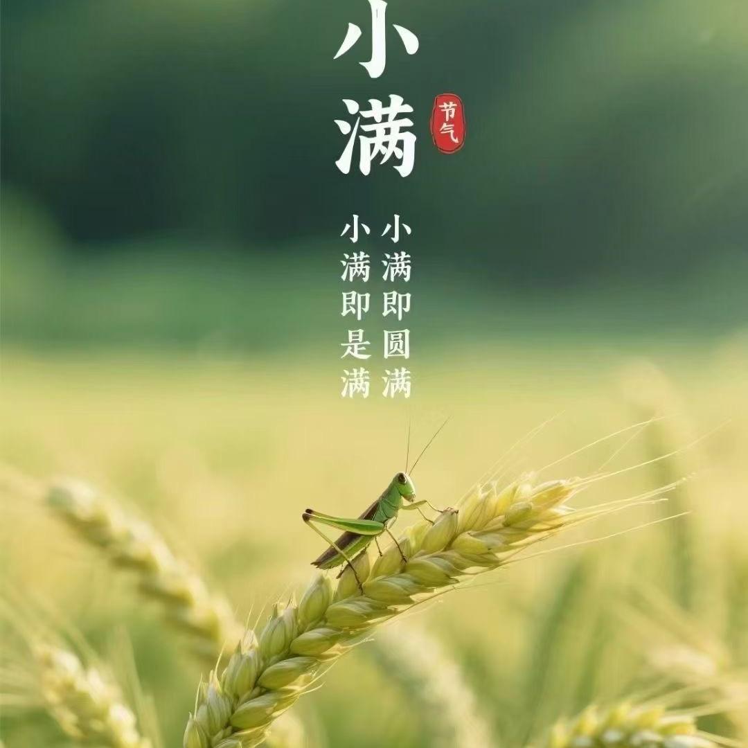 商丘济民的店