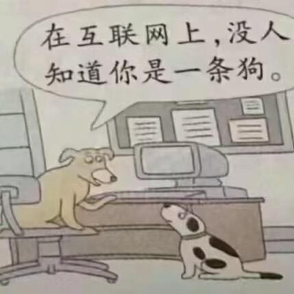 林如韵