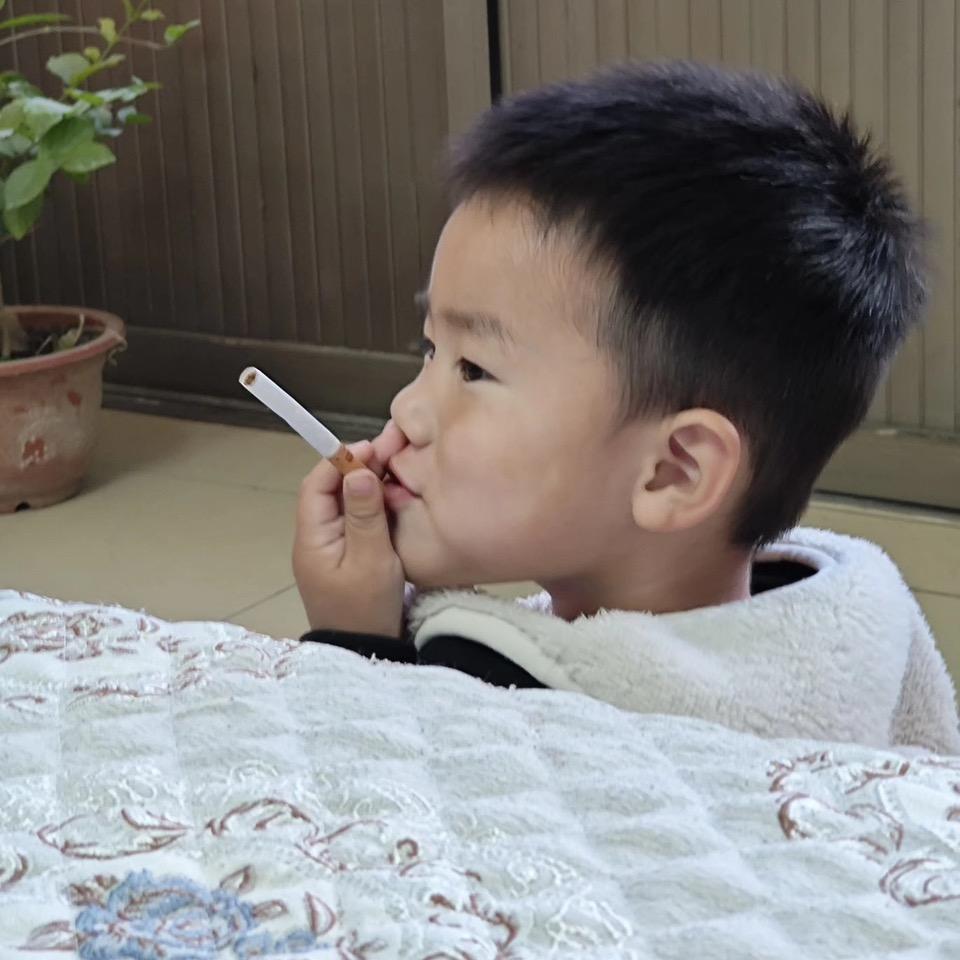 垚垚领先