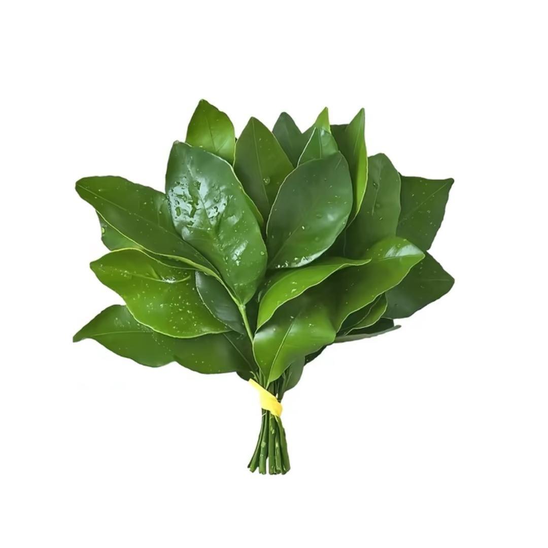 河北恒泰管道—小迟