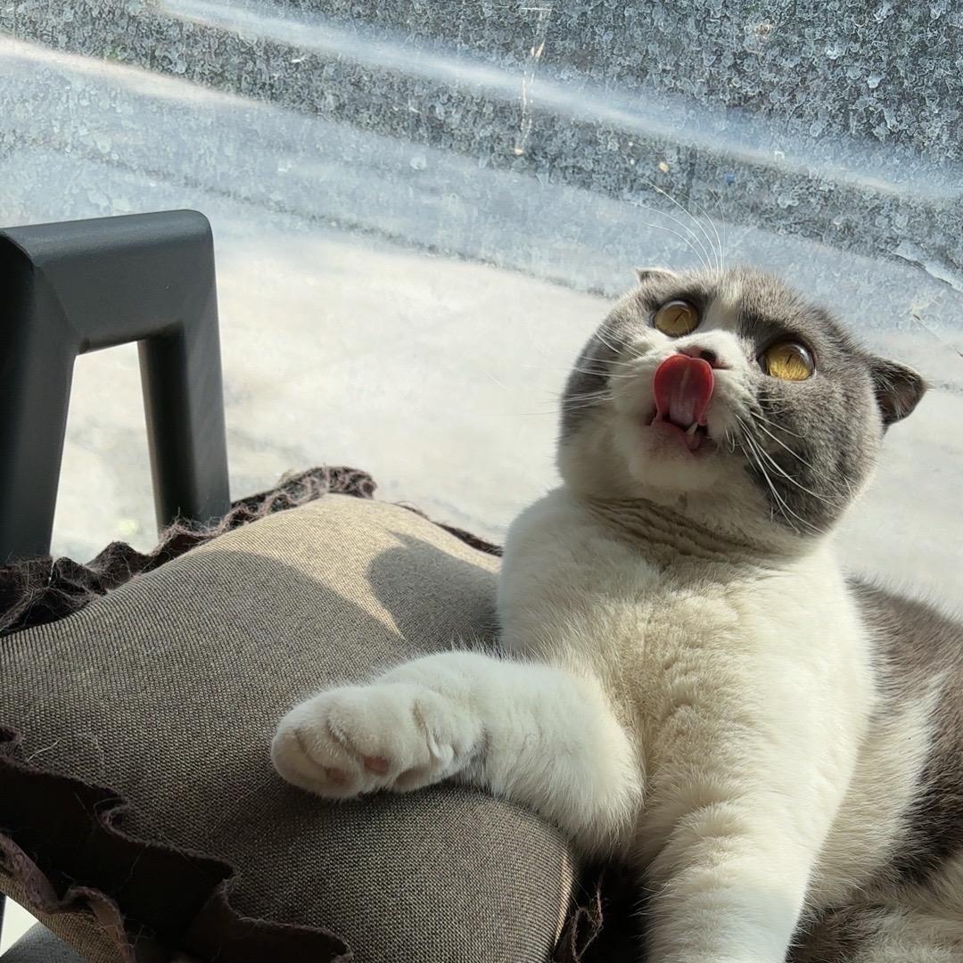陈……陈