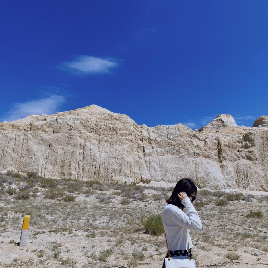 一条小锦李💫