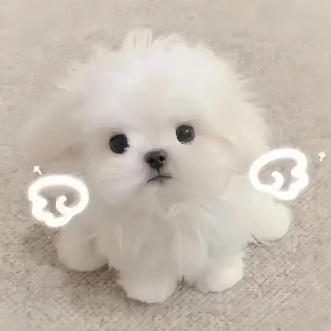 情绪
