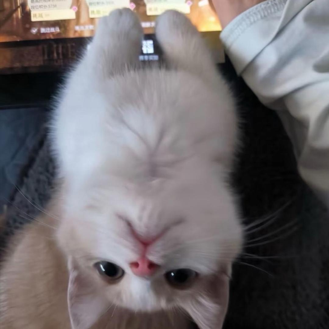 怪我不好
