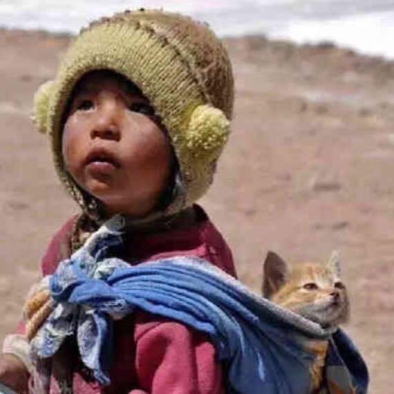 流言、蜚语