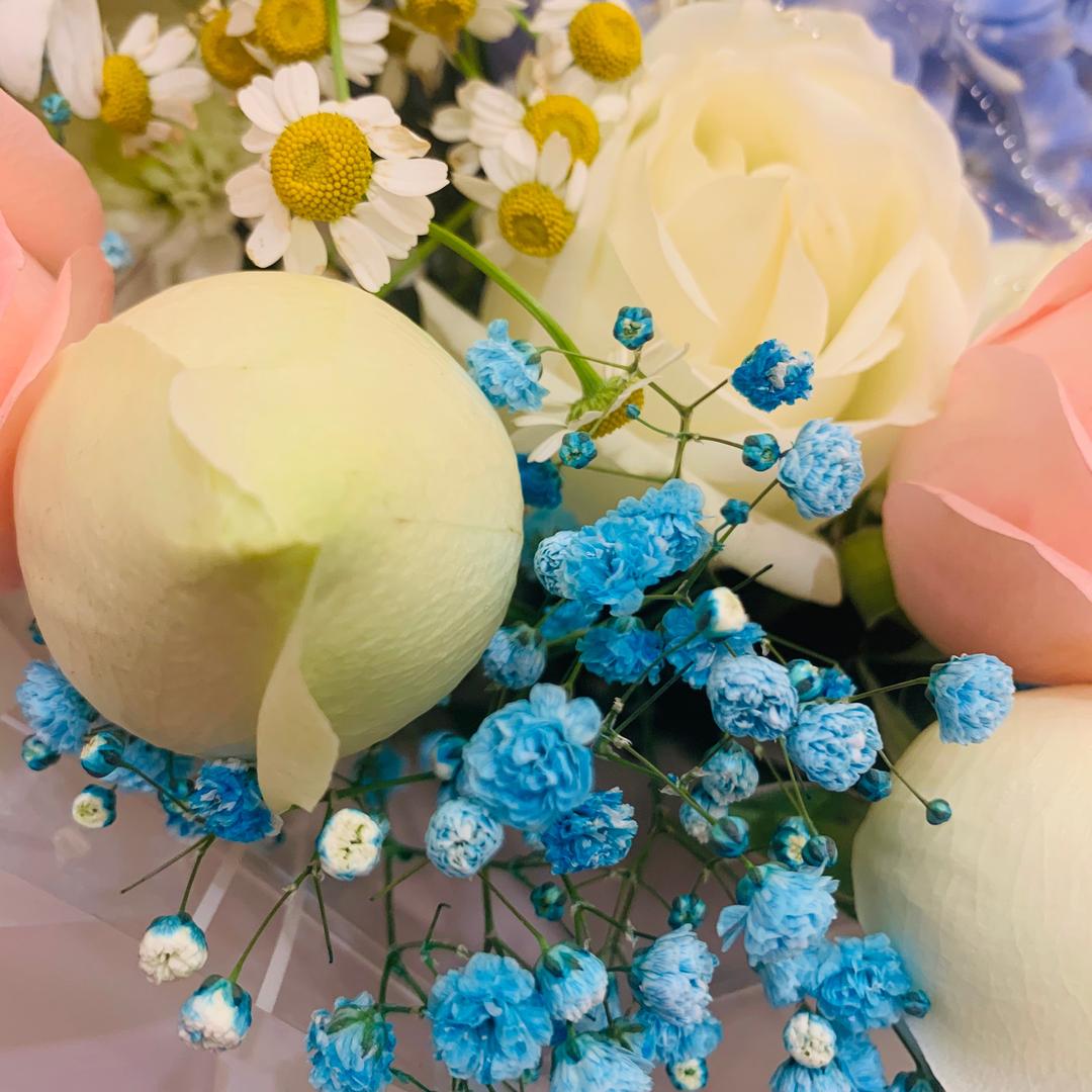 清水芙蓉