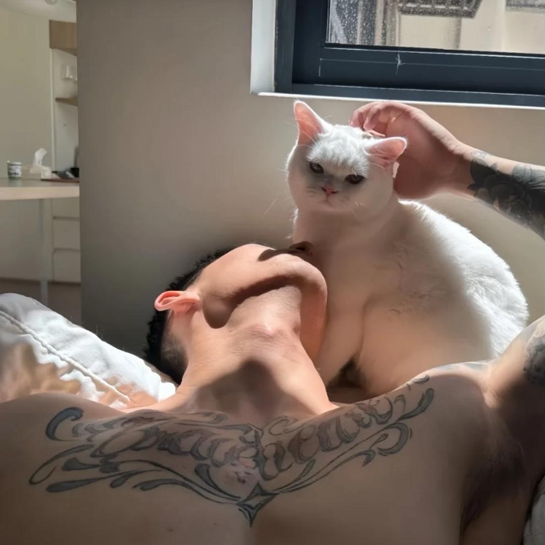 丛