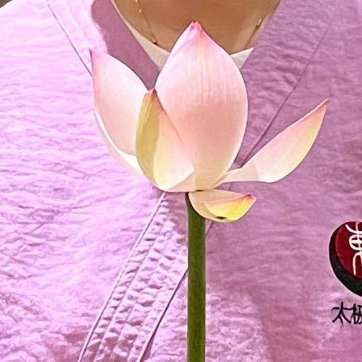 ❤️玄明