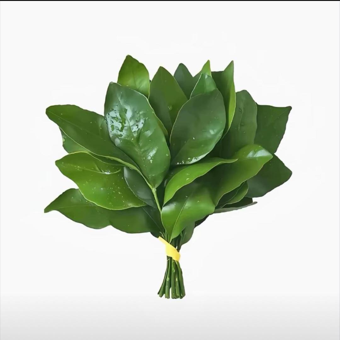 中午吃什么