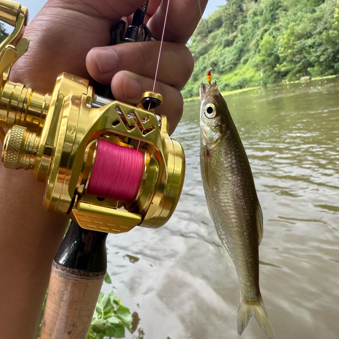 小飞微物路亚🎣