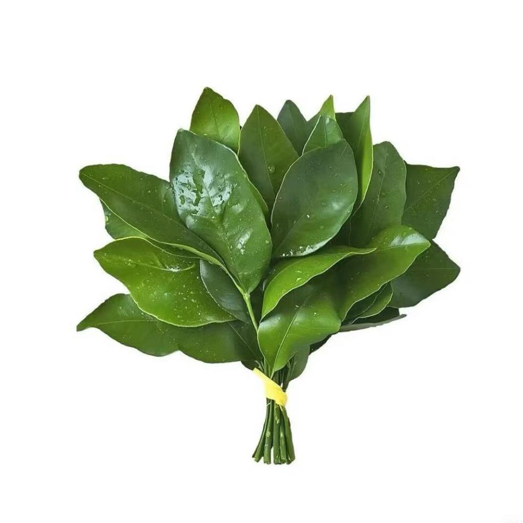 小no包