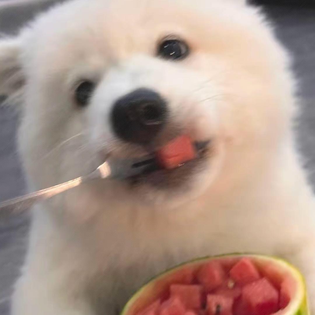 你也不懂我