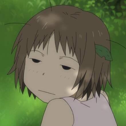 菜狗胖胖