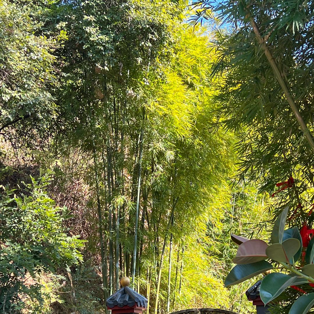 慧群