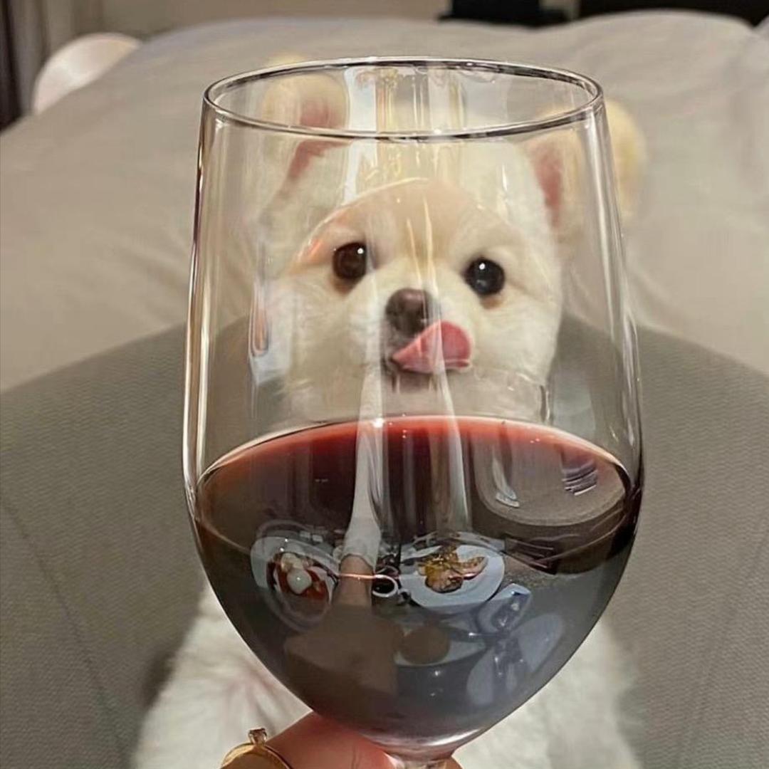 水瓶座私人美发定制♒