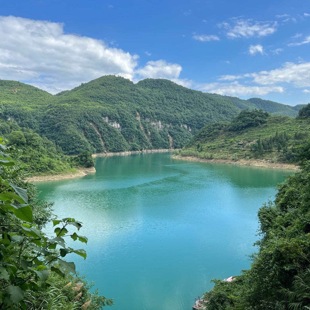 顾北           .    🪳