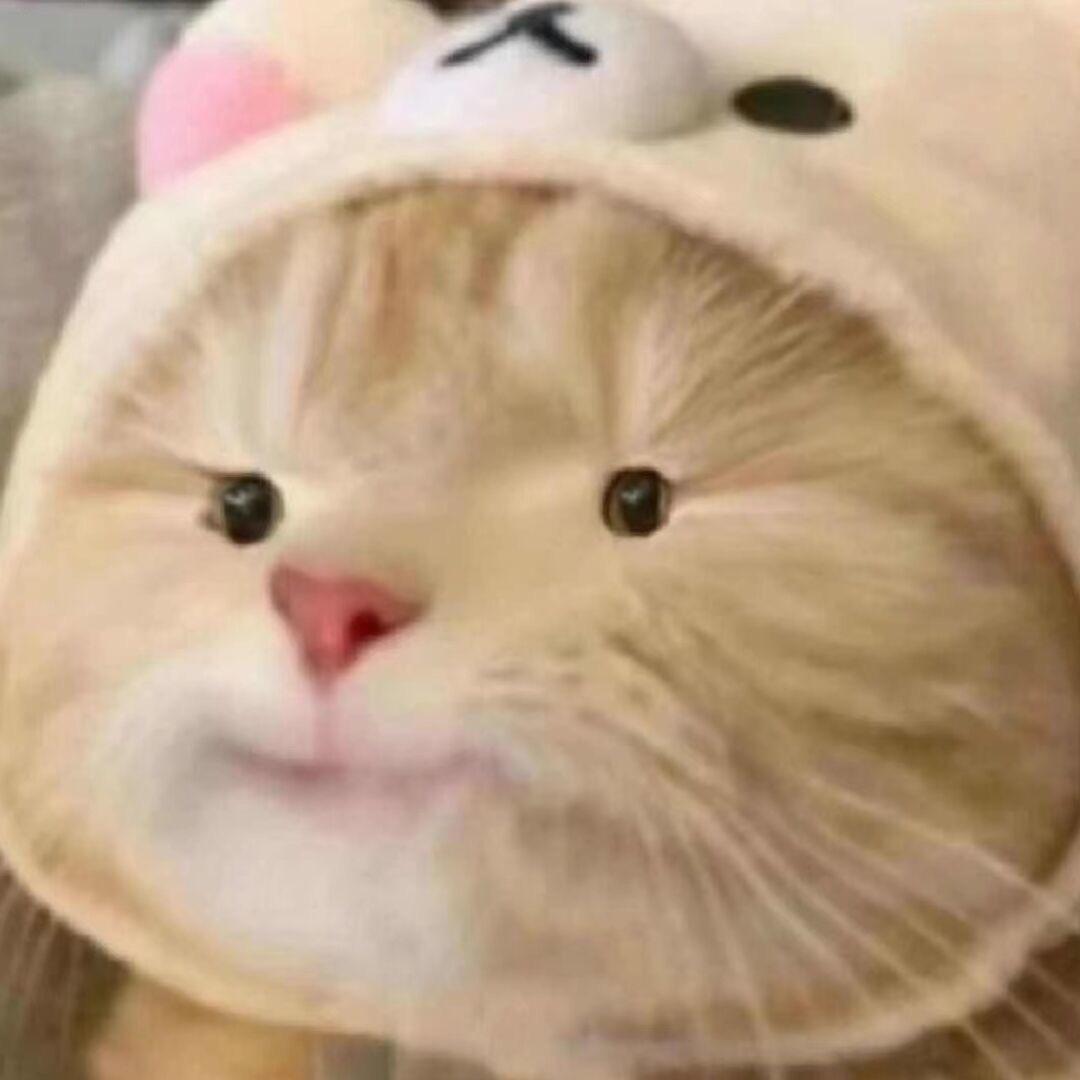 就是比你帅📸